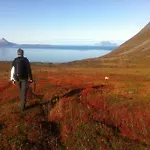 Lyngstuva - Aurora In Lyngen