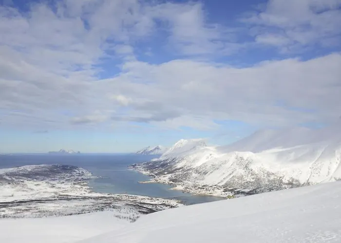 Lyngstuva - Aurora In Lyngen Russelv
