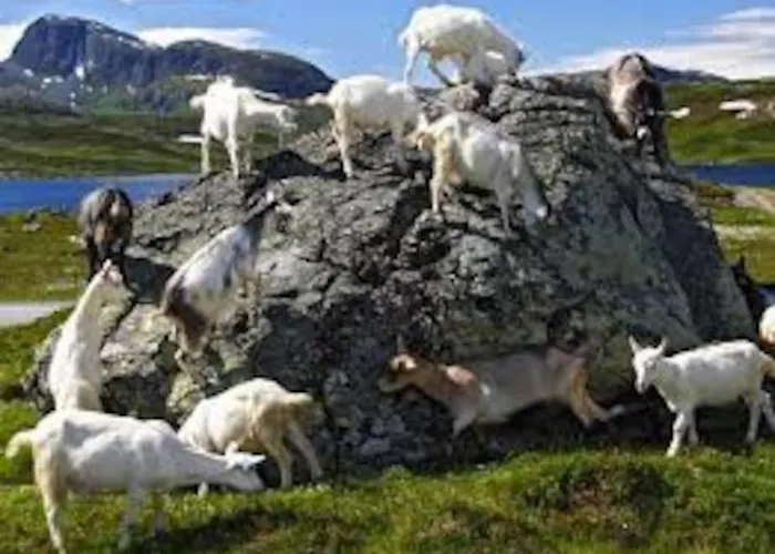 Vakantiehuis Lyngstuva - Aurora In Lyngen