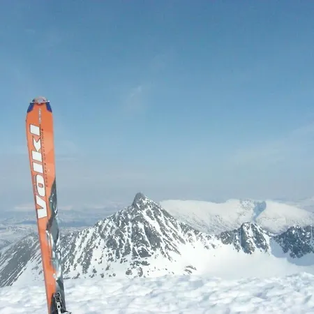 Lyngstuva - Aurora In Lyngen
