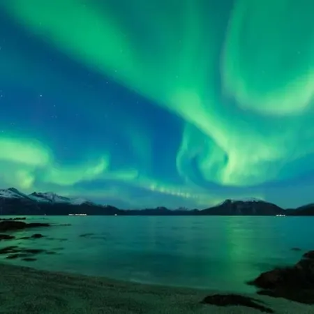 Lyngstuva - Aurora In Lyngen 別荘 *