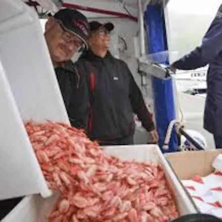 Lyngstuva - Aurora In Lyngen 別荘