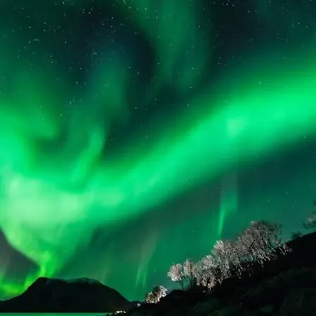 Lyngstuva - Aurora In Lyngen 別荘 *