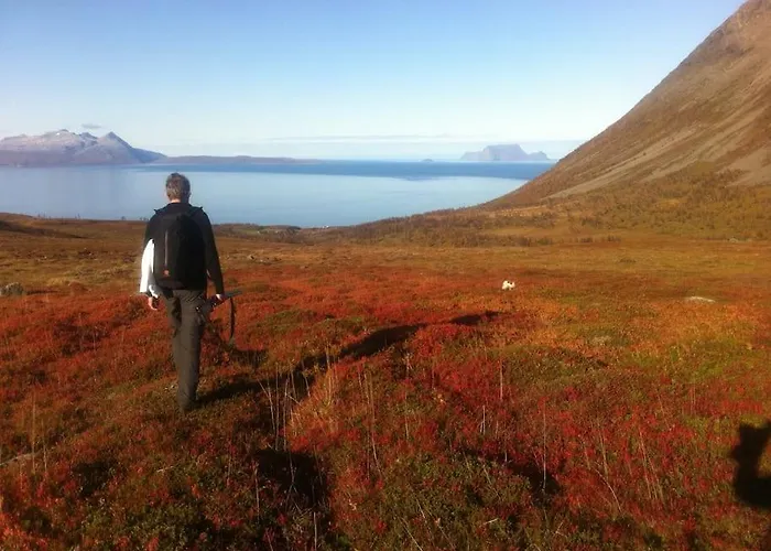 Lyngstuva - Aurora In Lyngen