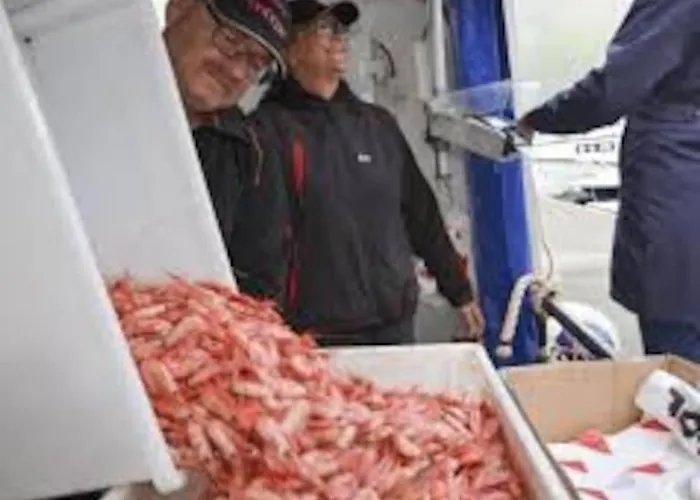 Lyngstuva - Aurora In Lyngen בית נופש